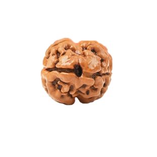 2-mukhi-nepali-unique